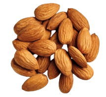 Picture25-removebg-preview